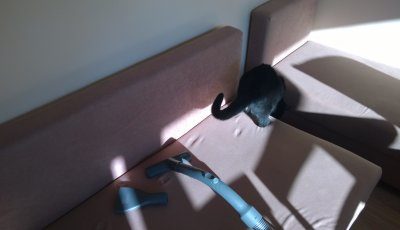 CURĂȚAREA ȘICURĂȚAREA ȘI SPĂLAREA CU UN ASPIRATOR A CANAPELEI MURDARE DE BLANĂ DE ANIMALE