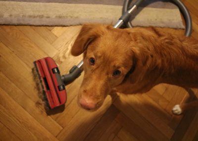 CYCLOON HYBRID PET&FRIENDS – FUNCȚII UTILE ȘI ACCESORII